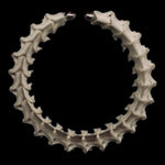 Dead Circle Earrings
